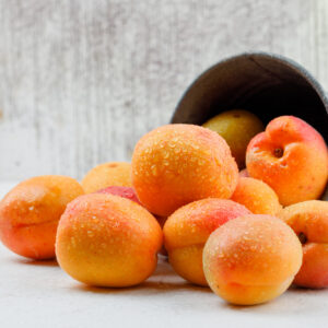 Abricotier Rouge du Roussillon